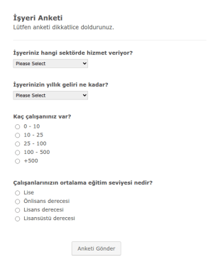 İşyeri Anketi Form Şablonu