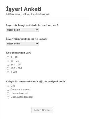 İşyeri Anketi Form Template