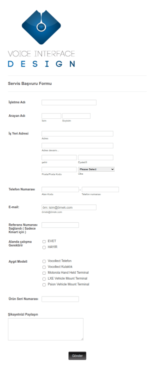IT Servisi Başvuru Form Şablonu