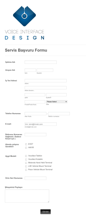 IT Servisi Başvuru Form Şablonu