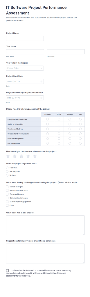 IT Software Project Performance Assessment Form Template
