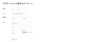 ビジネス向けプロモーションフォーム