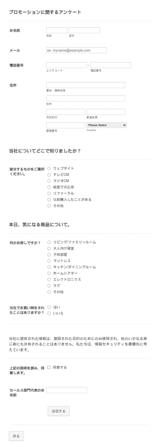ビジネス向けプロモーションフォーム