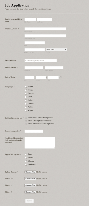 Applicant Information Form Template
