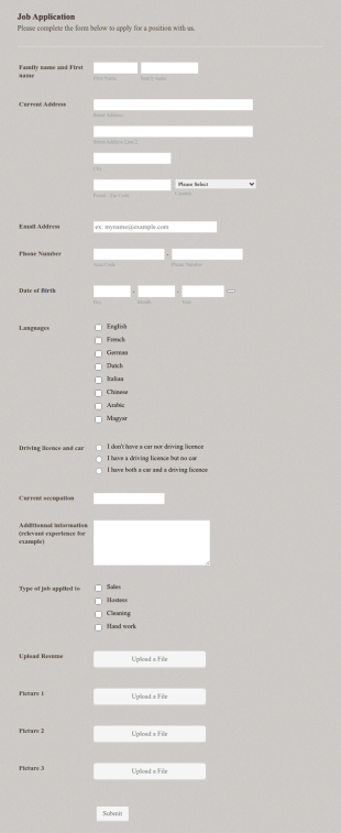 Applicant Information Form Template