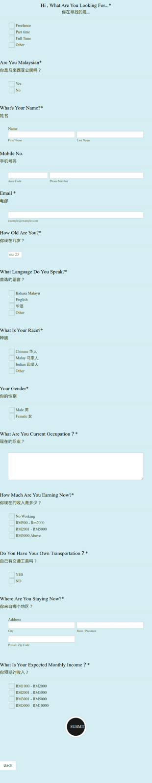 Job Application Form In Chinese