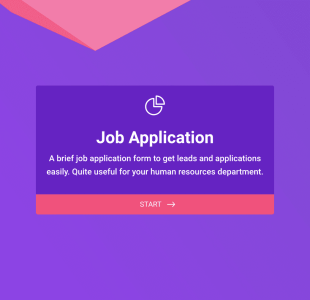 Online Job Application Form Template