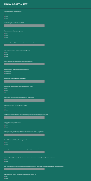 Kadına Şiddetle İlgili Anket Form Şablonu