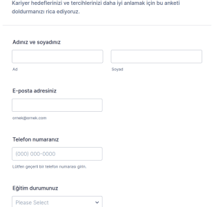 Kariyer Tercihi Anketi Form Şablonu