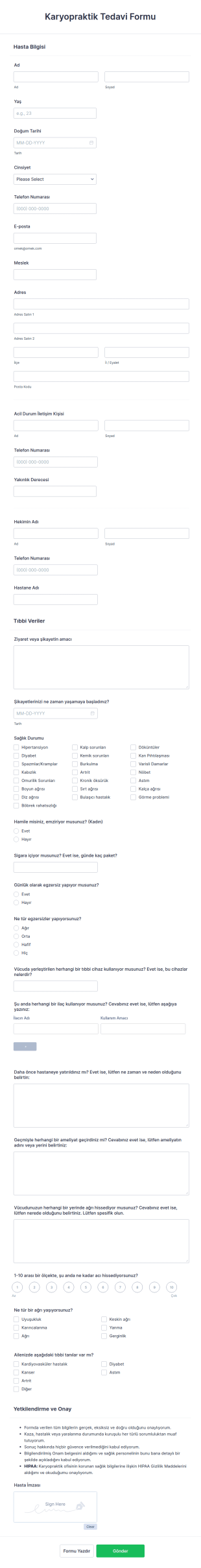 Karyopraktik Tedavi Form Şablonu