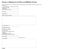 Kayıp Ve Bulunan Evcil Hayvan Bildirim Form Şablonu