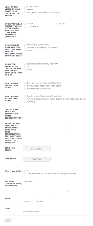 KC's Seint Color Match Quiz Form Template