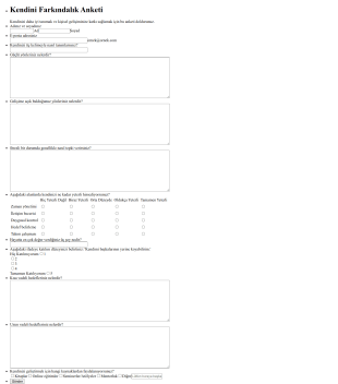 Kendini Farkındalık Anketi Form Şablonu