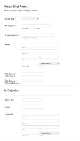 Kiracı Bilgi Form Template