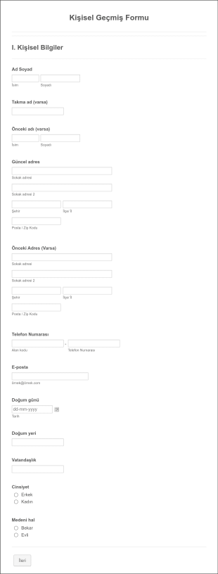 Kişisel Geçmiş Form Template