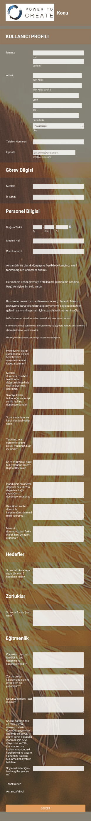 Koçluk Anketi Form Template