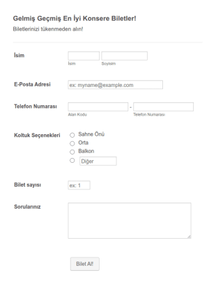 Konser Bileti Kayıt Form Şablonu