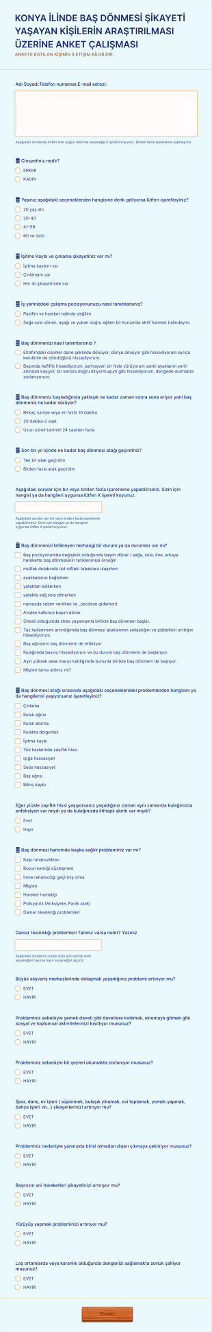 Baş Dönmesi Anketi Form Şablonu