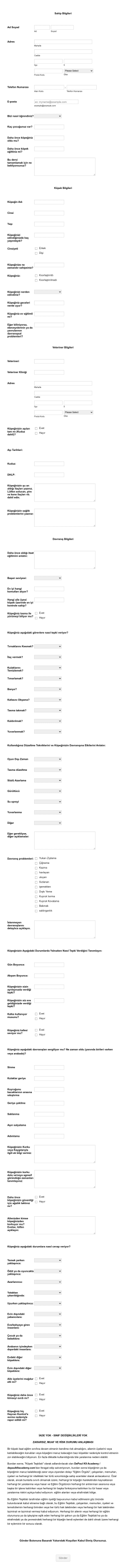 Köpek Eğitim Form Şablonu
