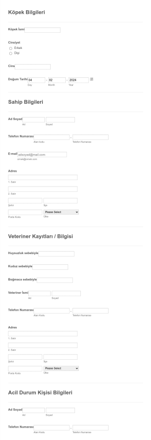 Köpek Kayıt Formu Taslağı Form Template