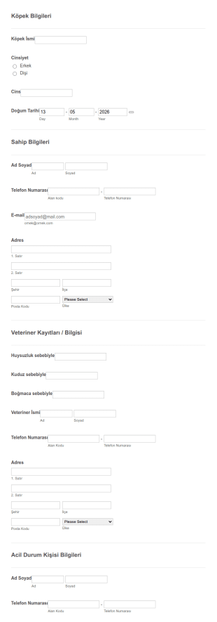 Köpek Kayıt Formu Taslağı Form Şablonu