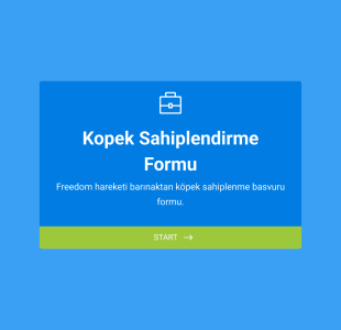 Köpek Sahiplendirme Form Template