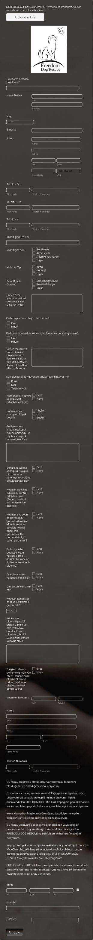 Köpek Sahiplendirme Form Template