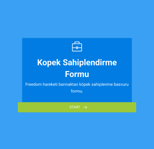 Köpek Sahiplendirme Form Şablonu