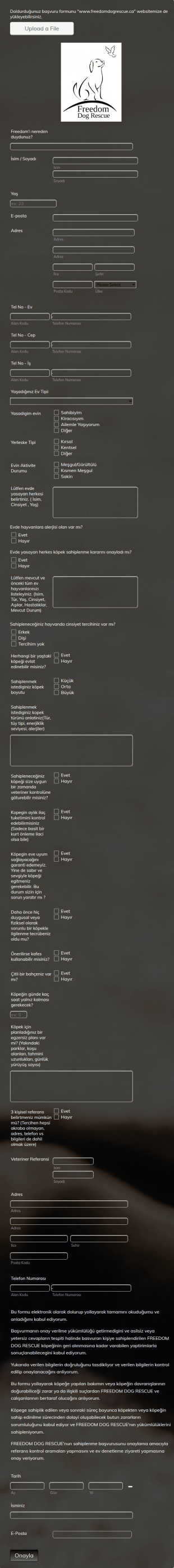 Köpek Sahiplendirme Form Şablonu