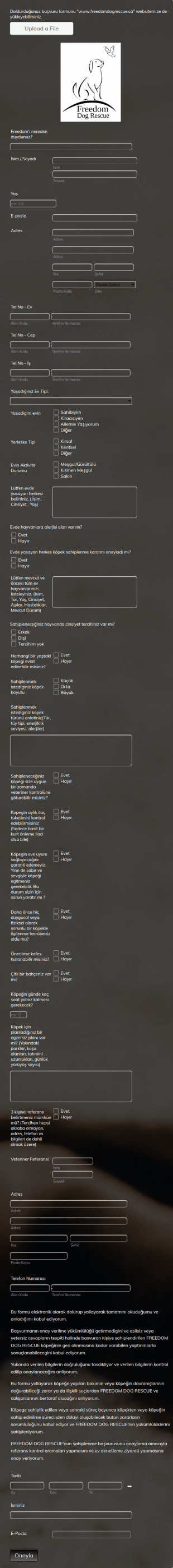 Köpek Sahiplendirme Form Şablonu