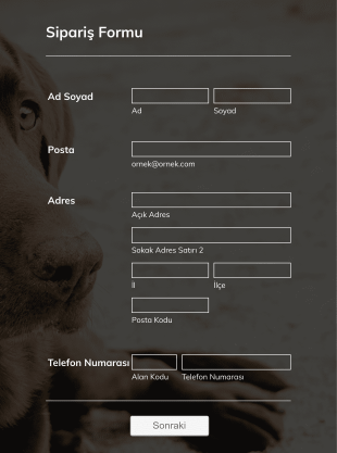 Köpek Yiyeceği Sipariş Form Şablonu