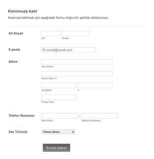 Koro Kayıt Form Şablonu