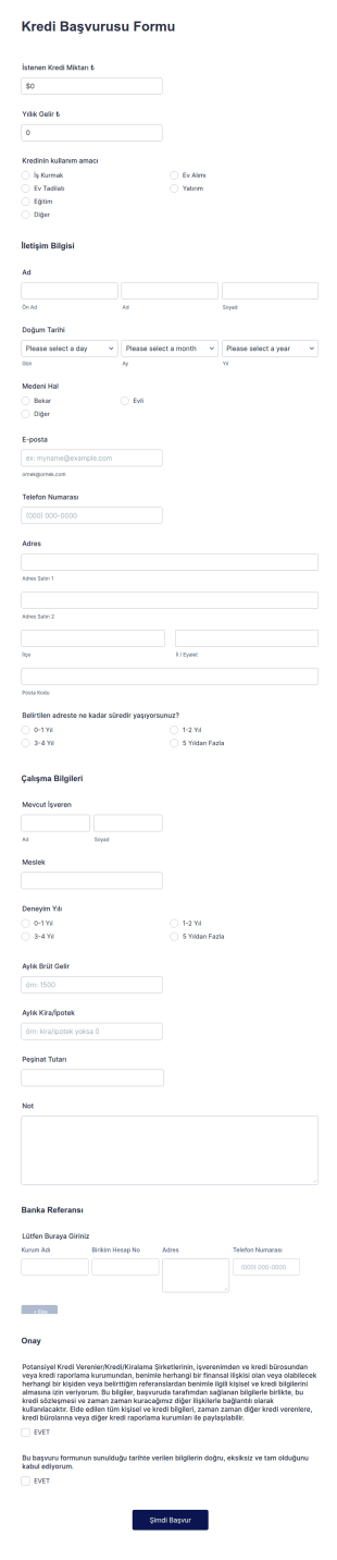 Kredi Başvurusu Form Şablonu