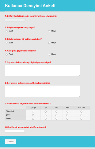 Kullanıcı Deneyimi Anketi Form Şablonu