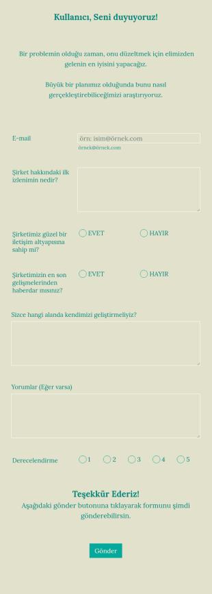 Kullanıcı Geri Bildirim Form Şablonu