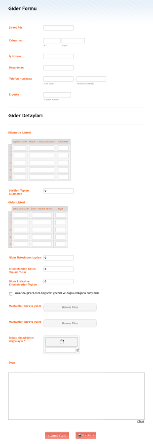 Kurum Içi Seyahat Ödeme Form Template
