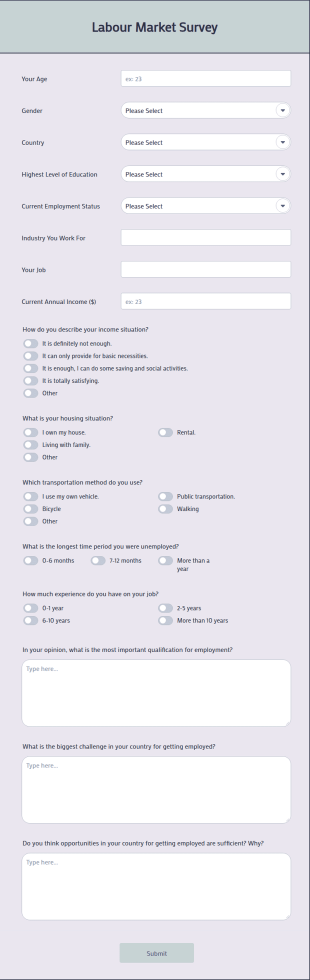 Labour Market Survey Form Template