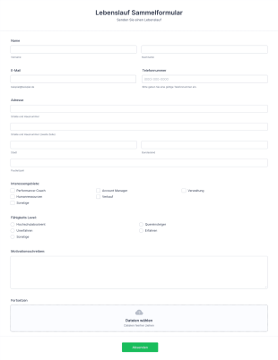 Lebenslauf Sammelformular Form Template
