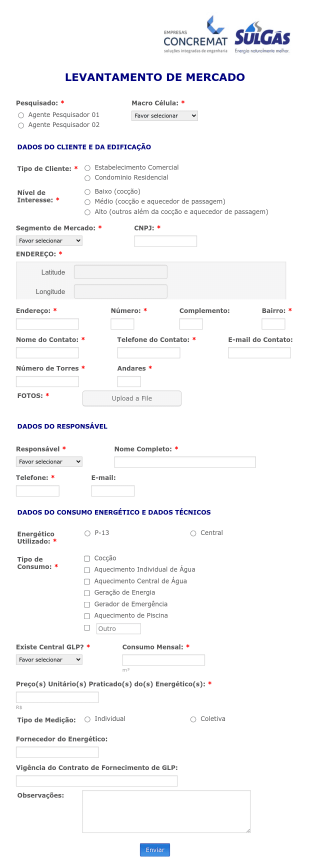 Levantamento De Mercado Form Template