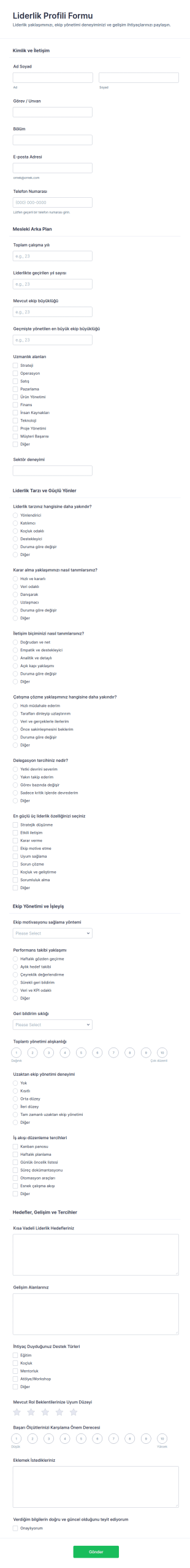 Liderlik Profili Form Şablonu