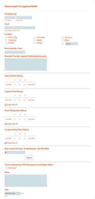 Ligature Risk Assessment Form Template