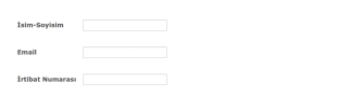 Lime Theme İletişim Form Şablonu