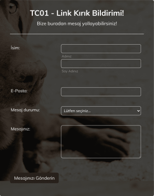Link Kırık Bildirimi Form Şablonu
