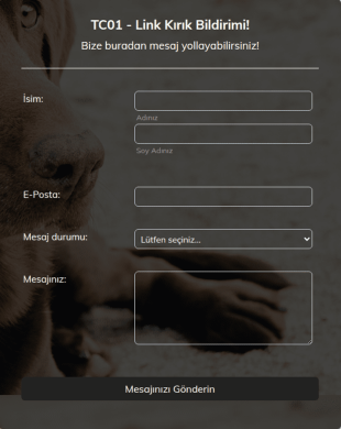 Link Kırık Bildirimi Form Şablonu