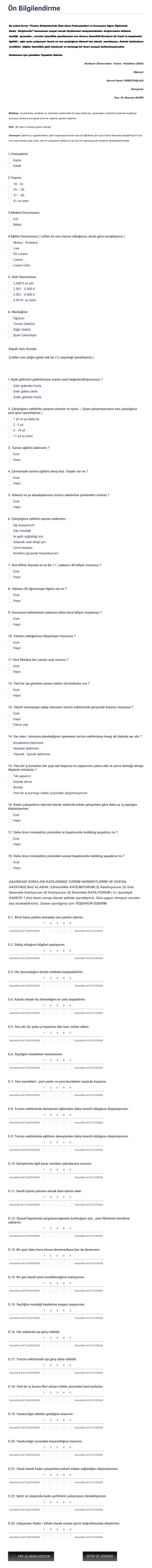 Lisans Tezi Araştırma Anketi Form Şablonu