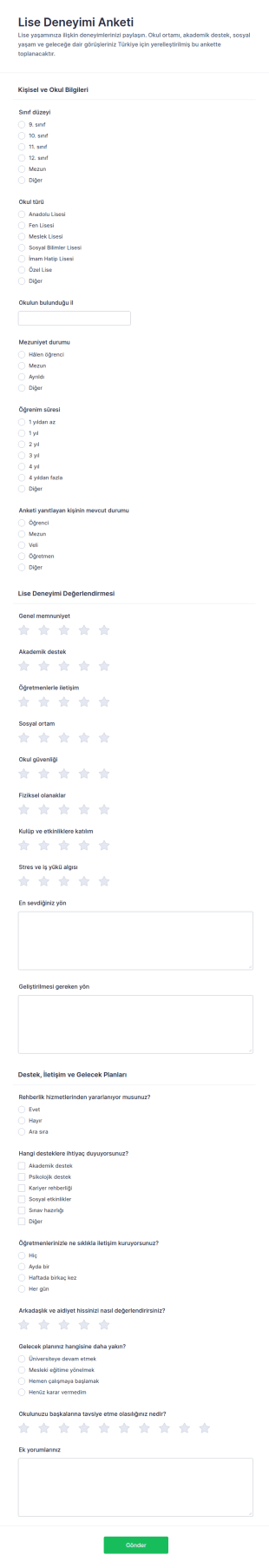 Lise Deneyimi Anketi Form Şablonu