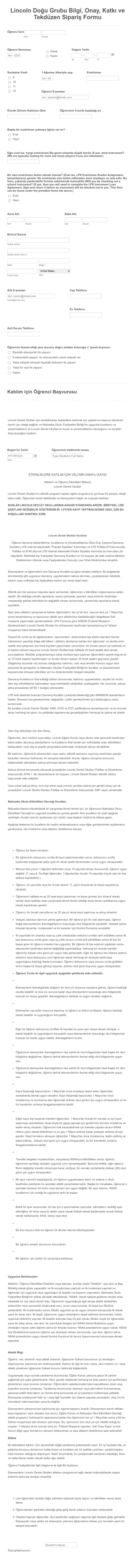 Lise Grubu Başvuru Form Şablonu