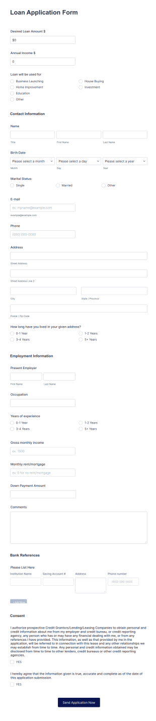 Loan Application Form Template
