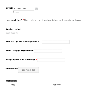 Logboek Meewerkstage Form Template