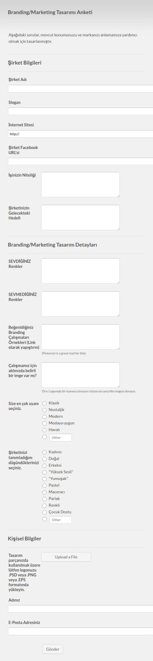 Logo Tasarımı Anketi 2 Form Şablonu